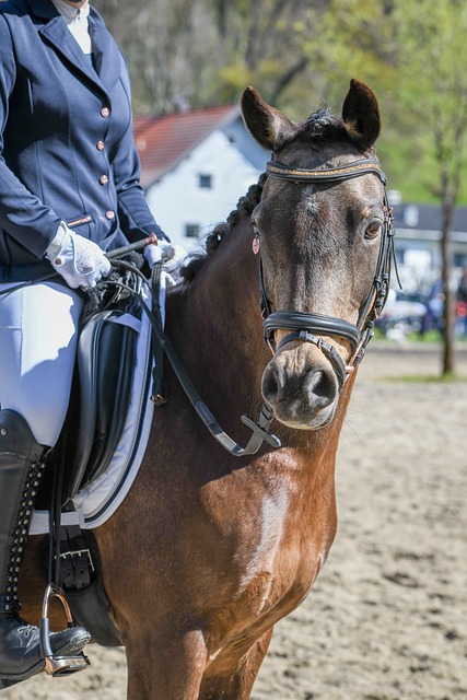 位竞争中处 位竞争中处