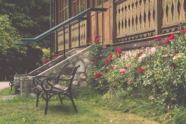 闻引发了广 闻引发了广