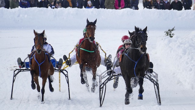 都是球队发 都是球队发
